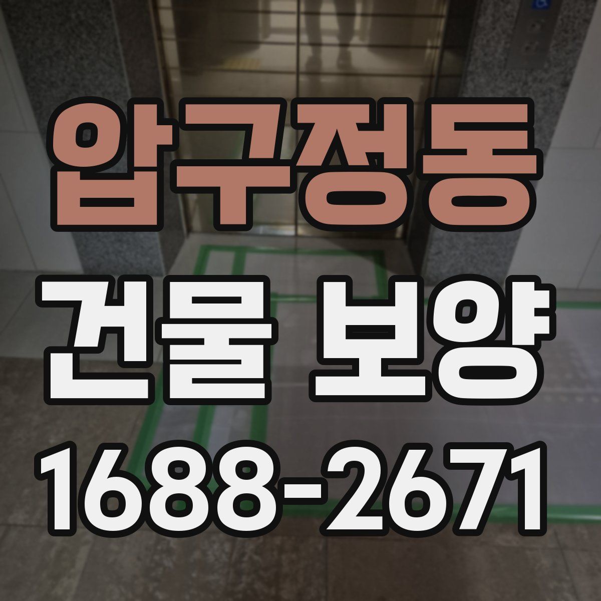 압구정동 건물 보양