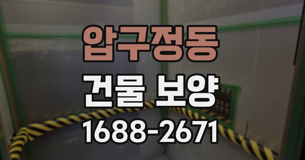압구정동 건물 보양