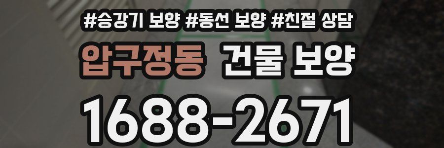 압구정동 건물 보양