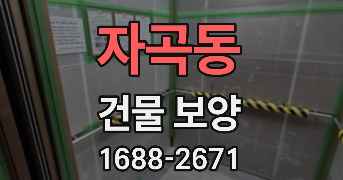자곡동 건물 보양