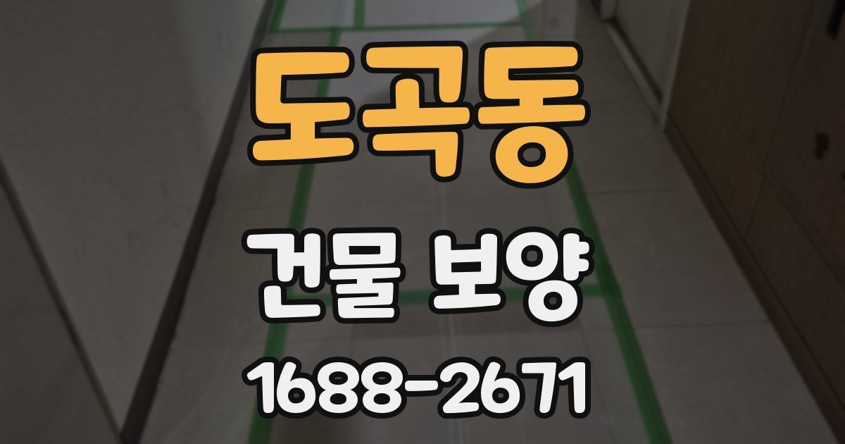 도곡동 건물 보양