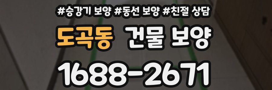 도곡동 건물 보양