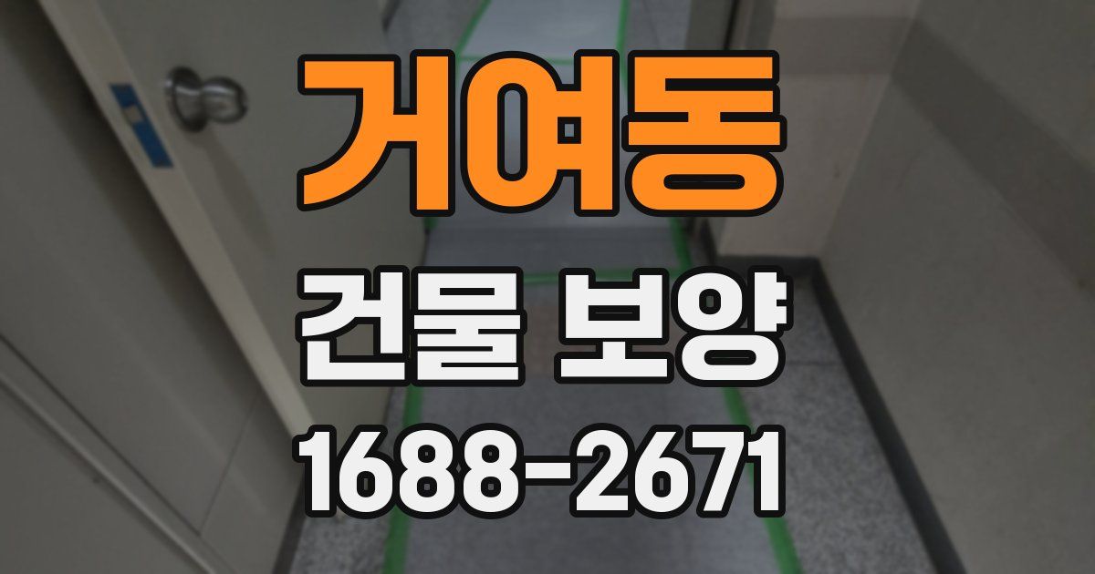 거여동 건물 보양