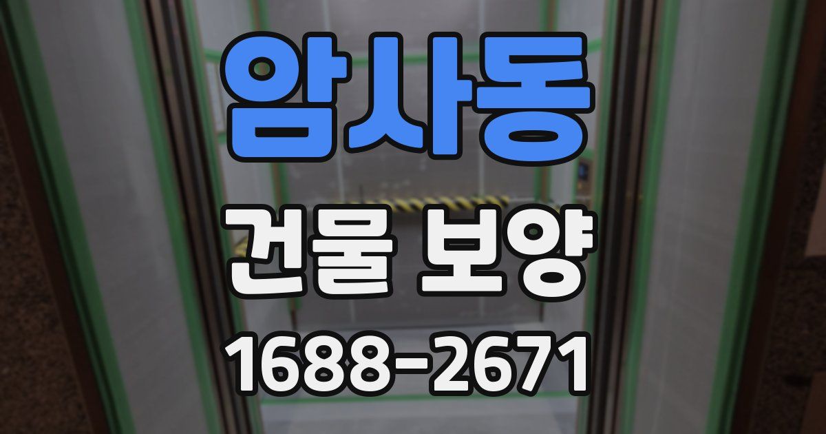암사동 건물 보양