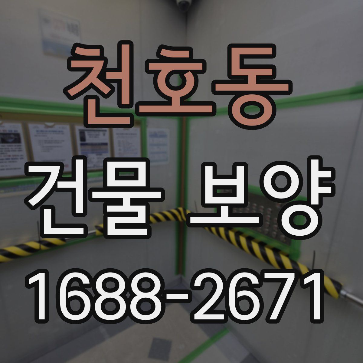 천호동 건물 보양