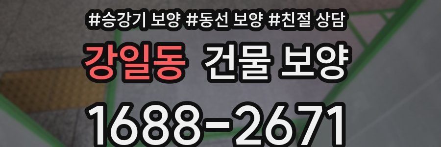 강일동 건물 보양