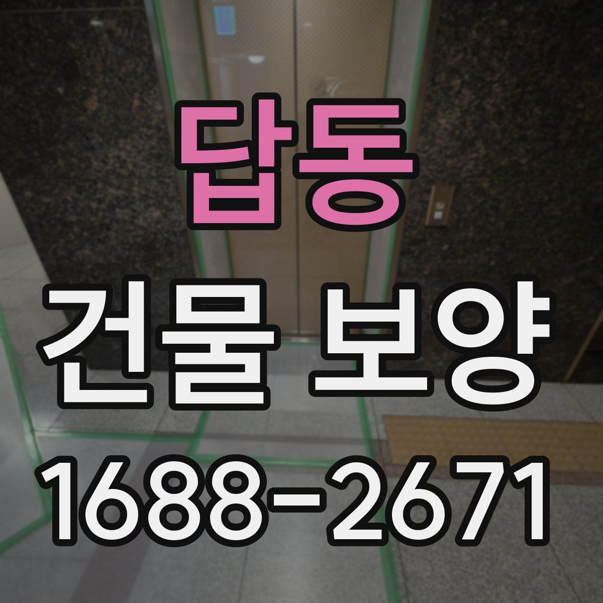 답동 건물 보양