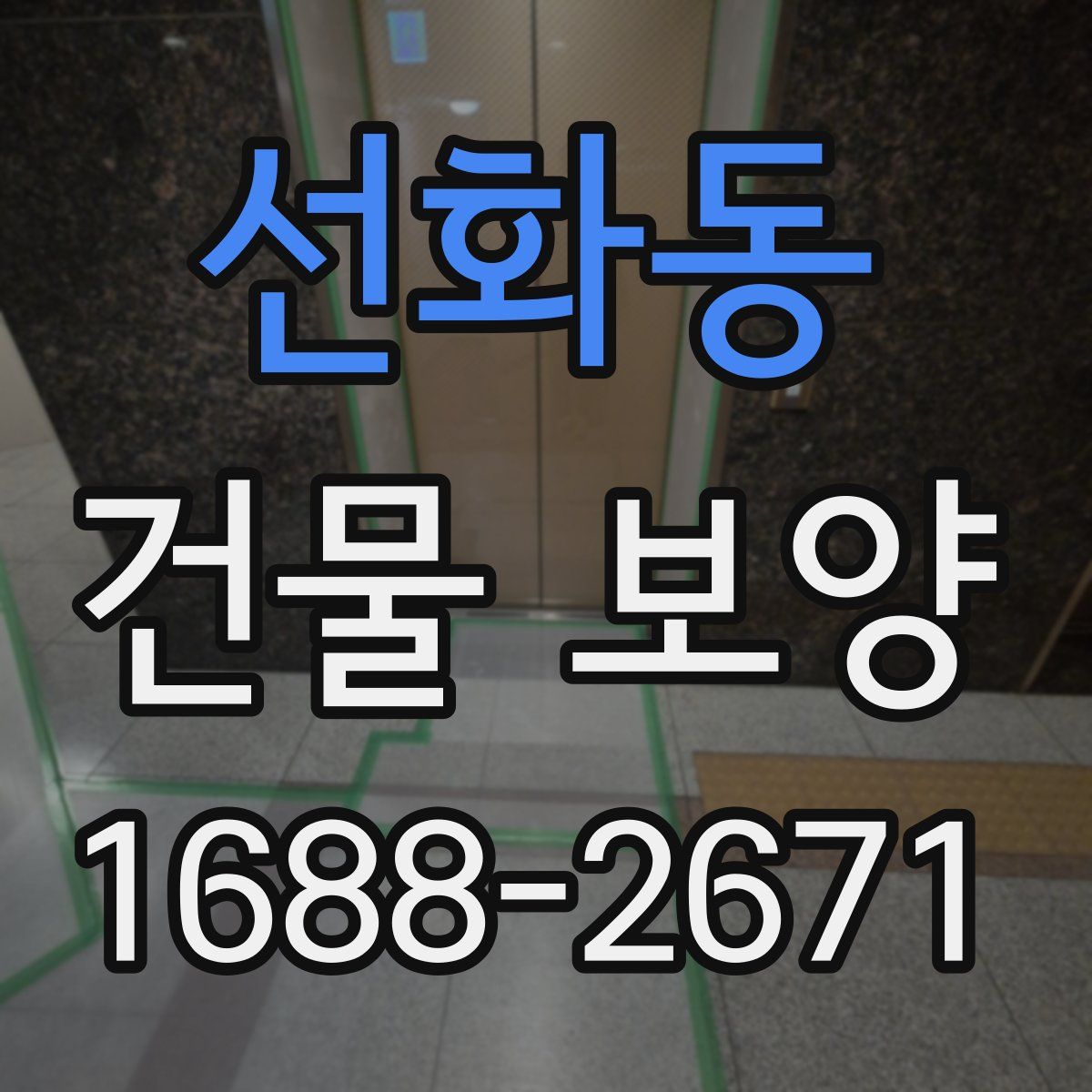 선화동 건물 보양