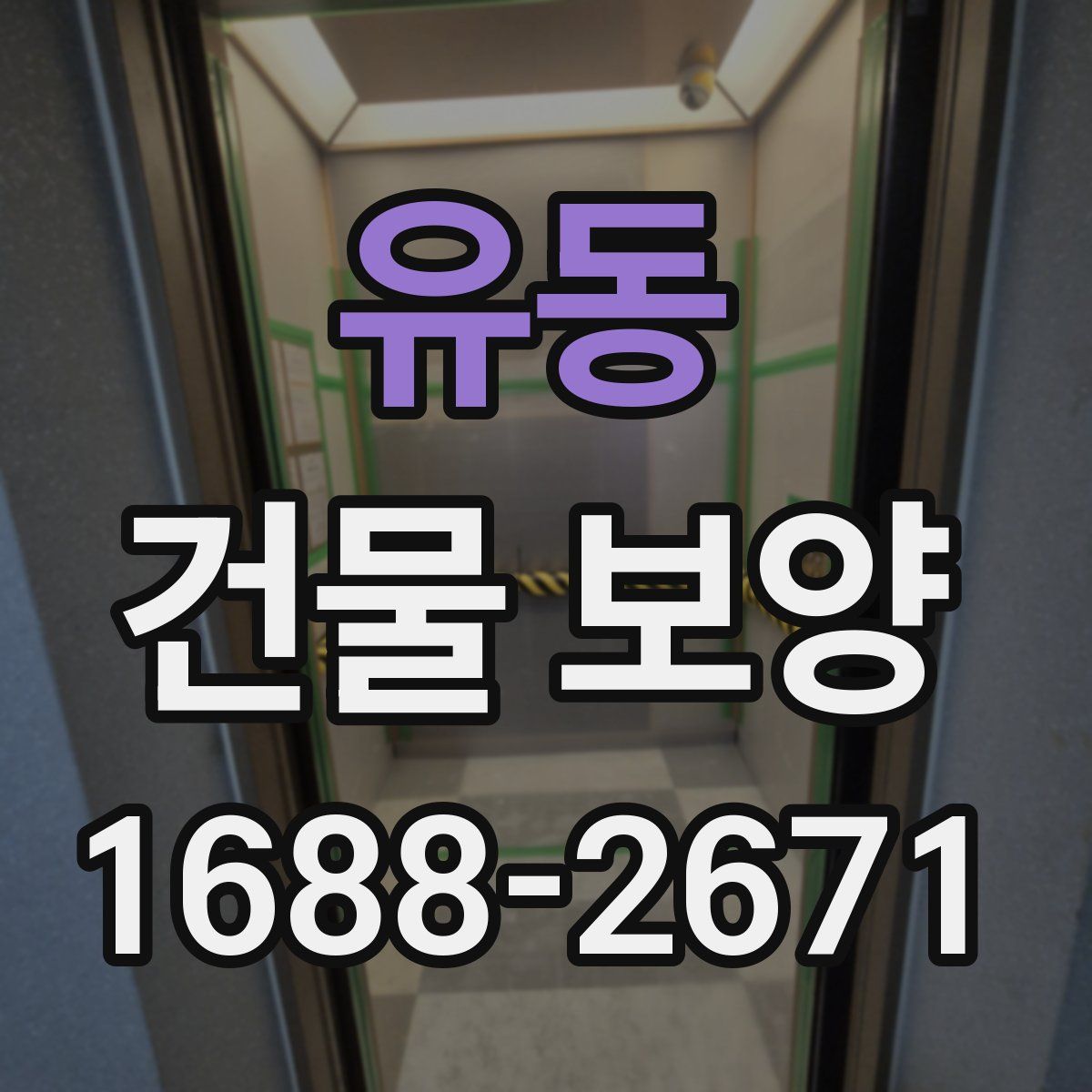 유동 건물 보양