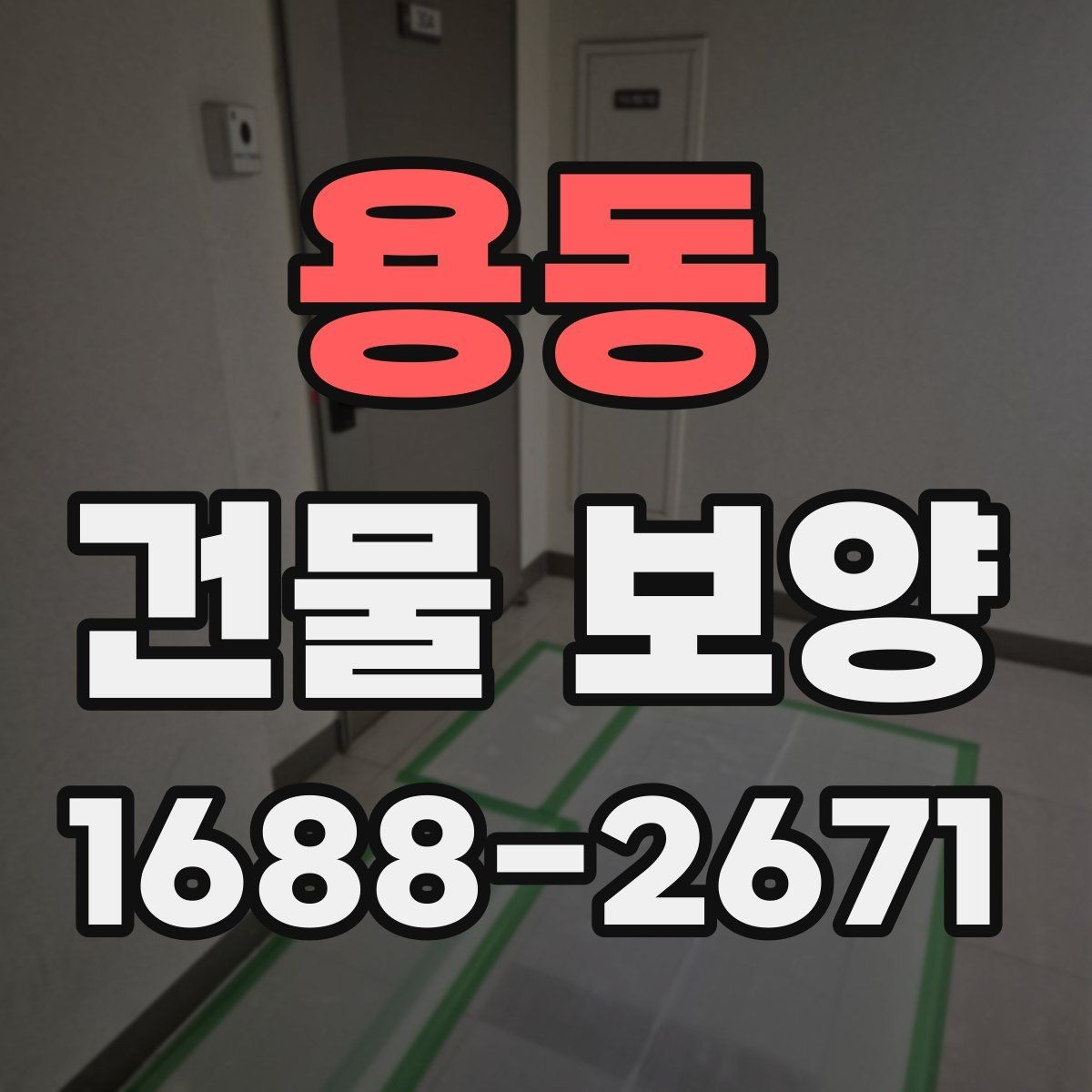 용동 건물 보양 현장별 자재 선택 기준과 활용법