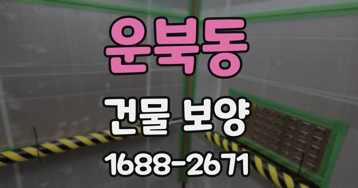 운북동 건물 보양