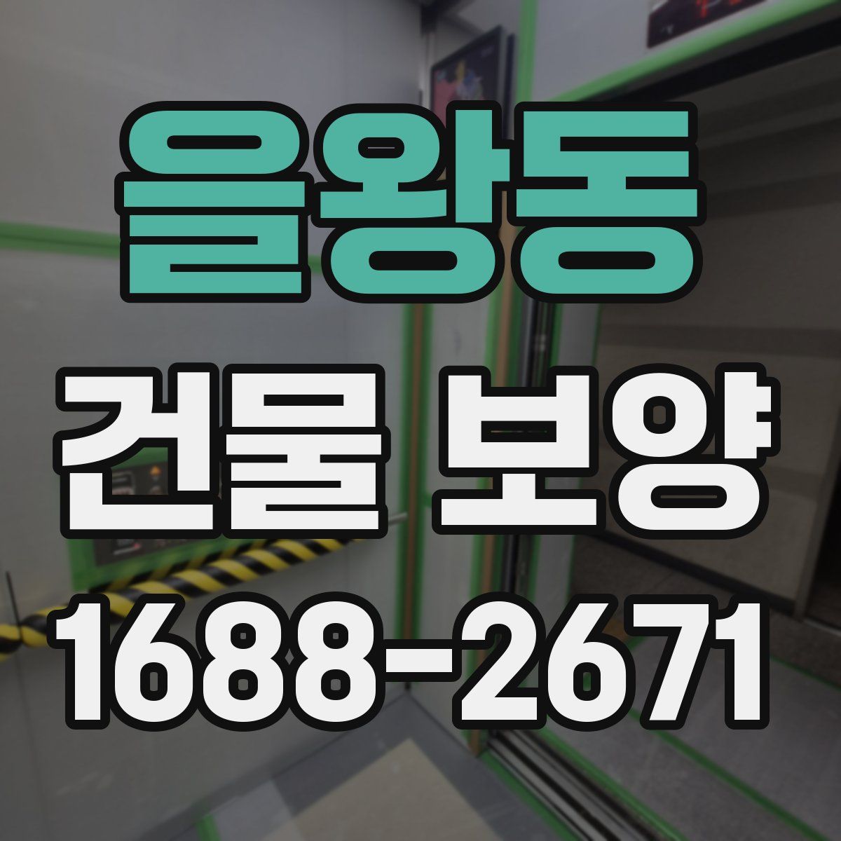 을왕동 건물 보양