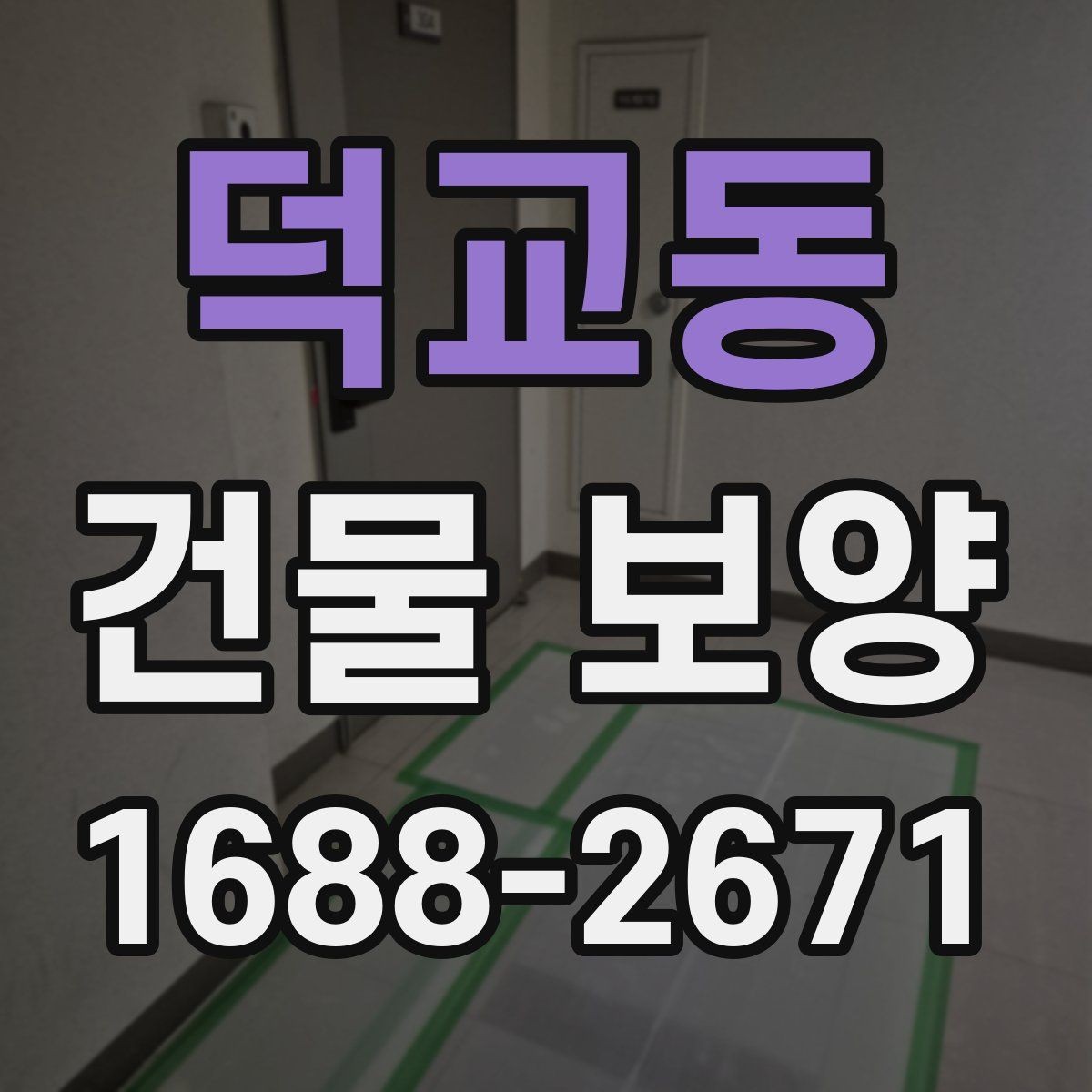 덕교동 건물 보양 적용 범위와 사례 살펴보기