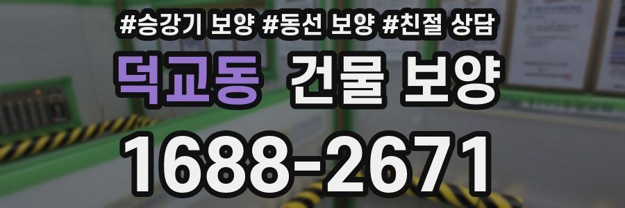 덕교동 건물 보양
