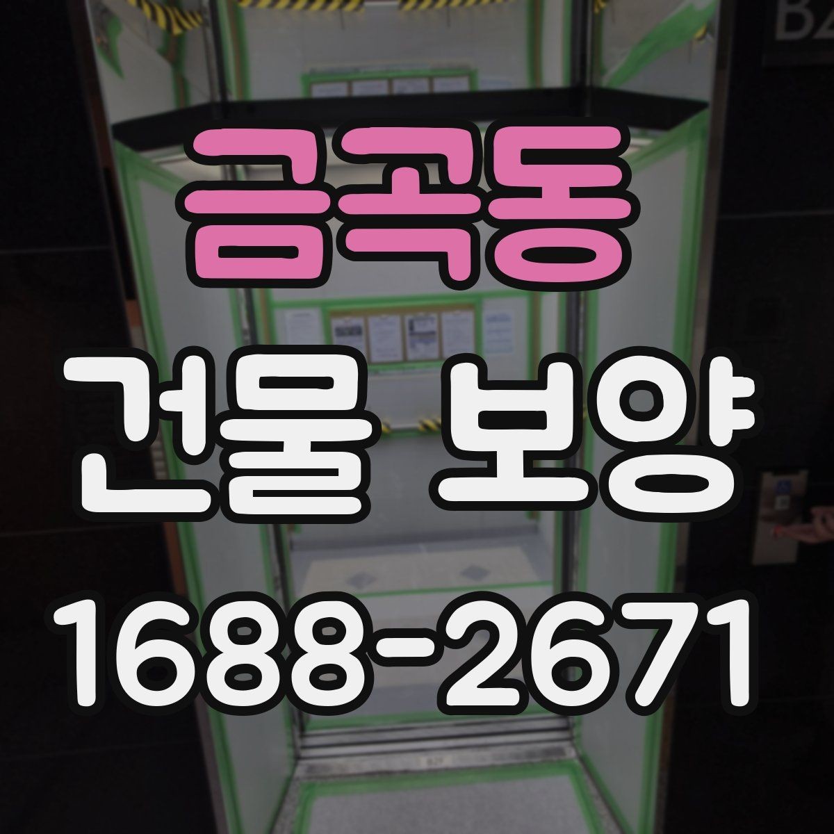 금곡동 건물 보양 공정별 역할과 주의사항
