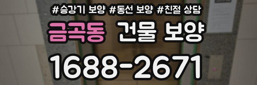 금곡동 건물 보양