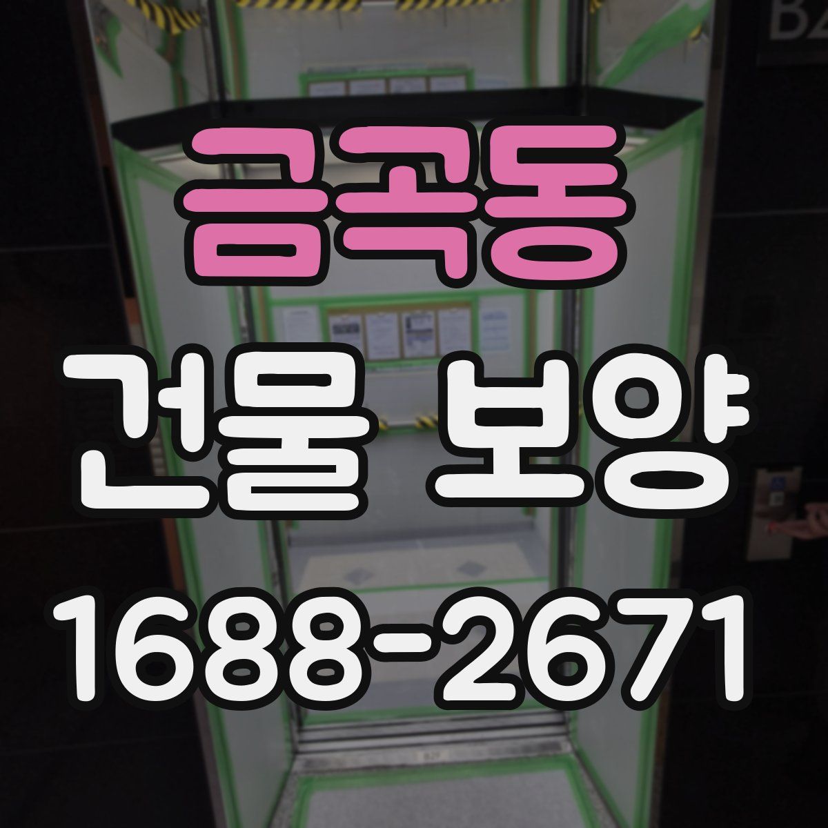 금곡동 건물 보양