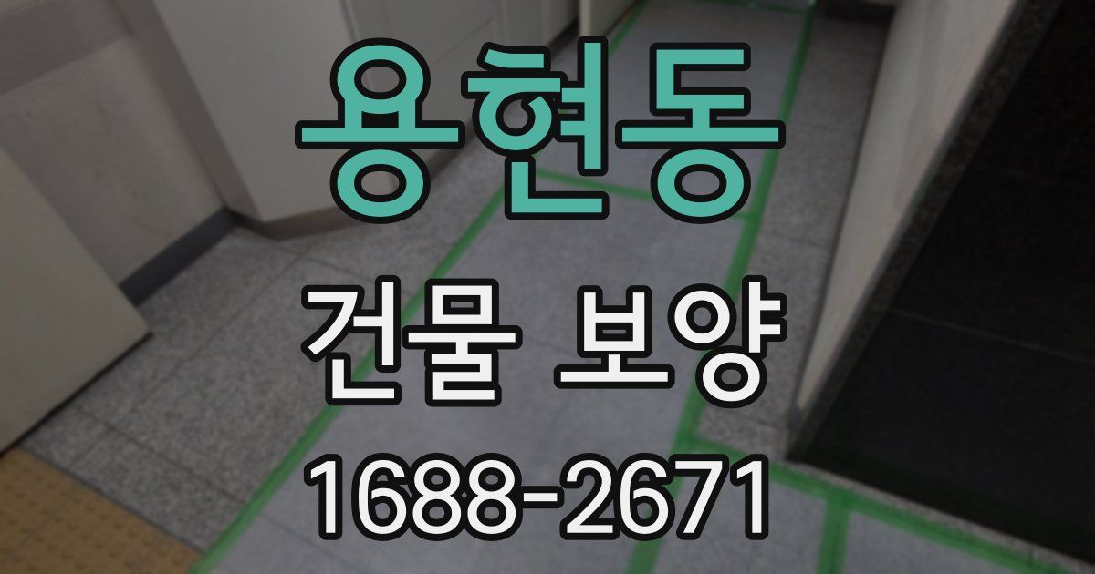 용현동 건물 보양