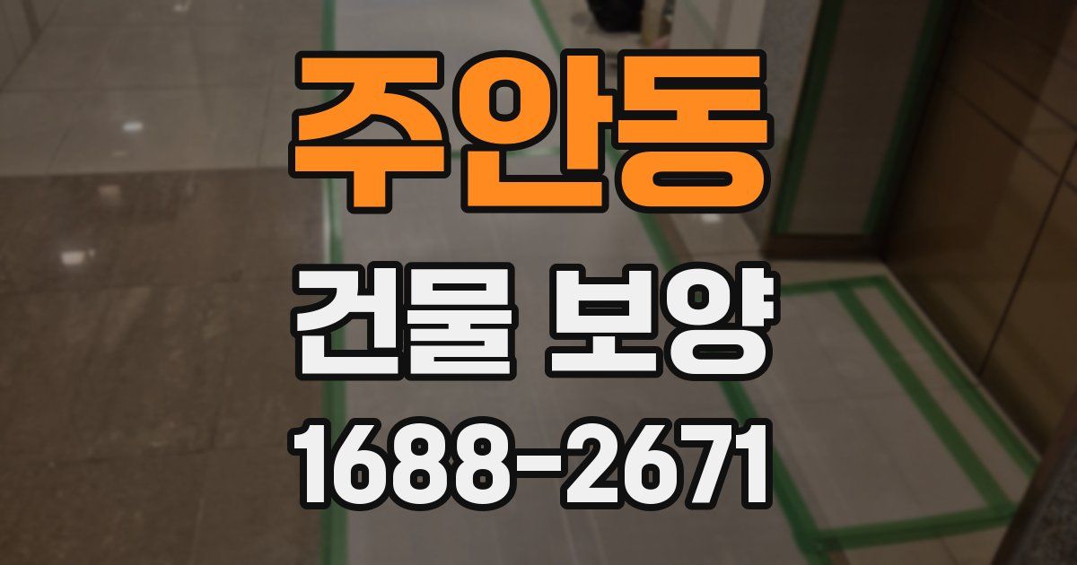 주안동 건물 보양