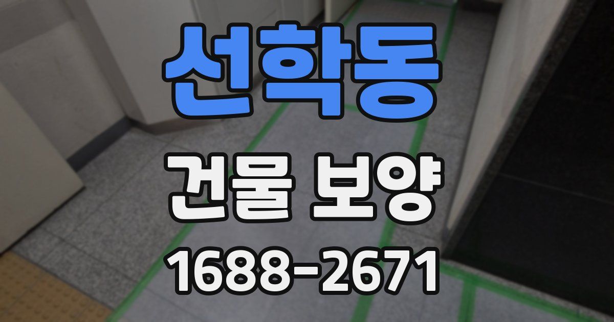 선학동 건물 보양