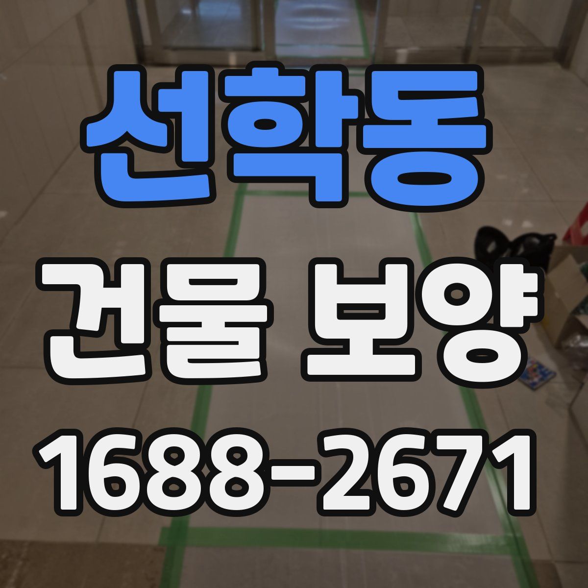 선학동 건물 보양