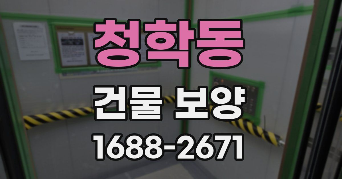 청학동 건물 보양