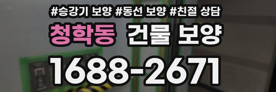 청학동 건물 보양