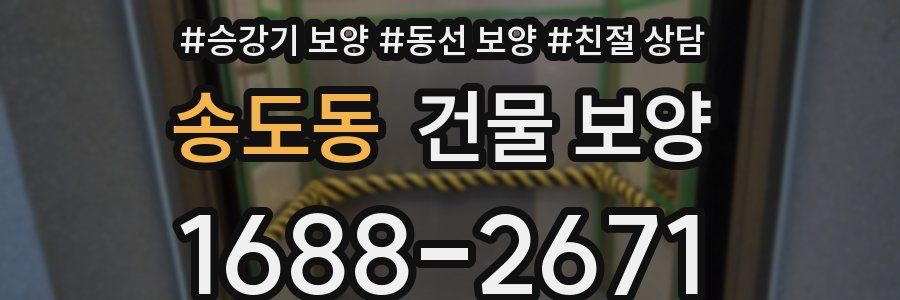 송도동 건물 보양