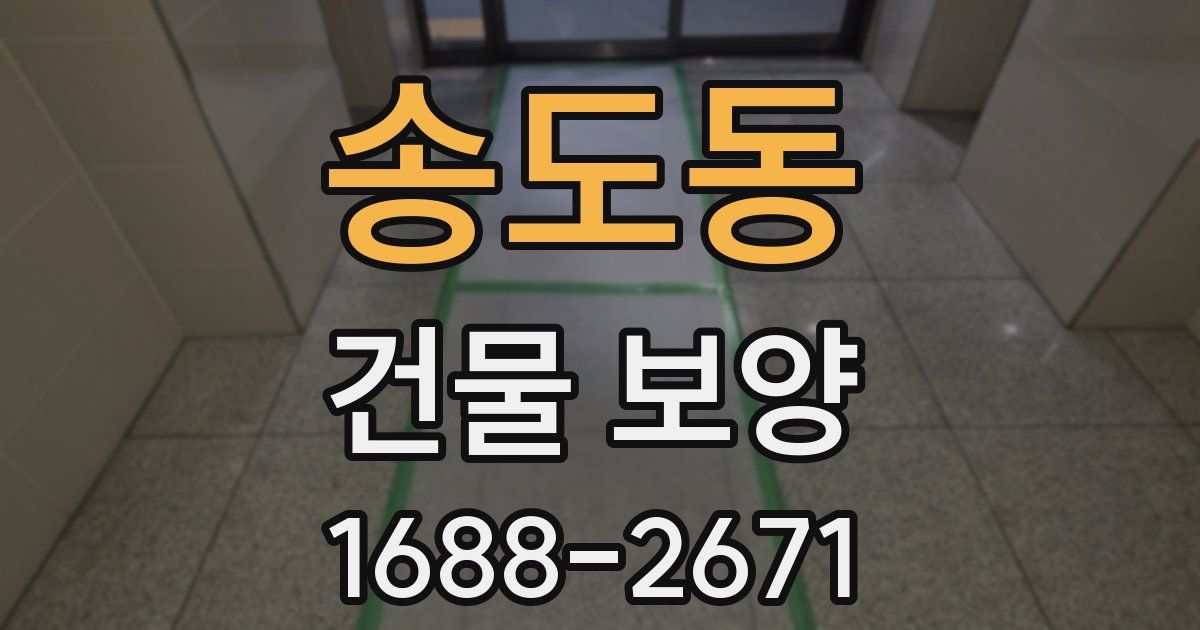 송도동 건물 보양