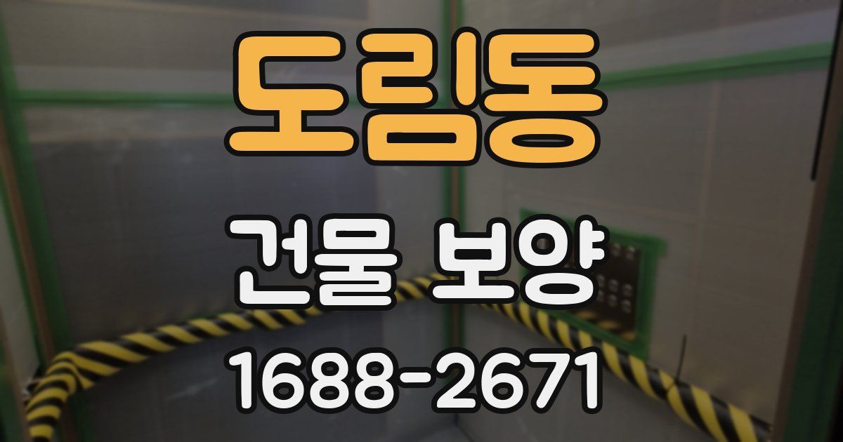 도림동 건물 보양