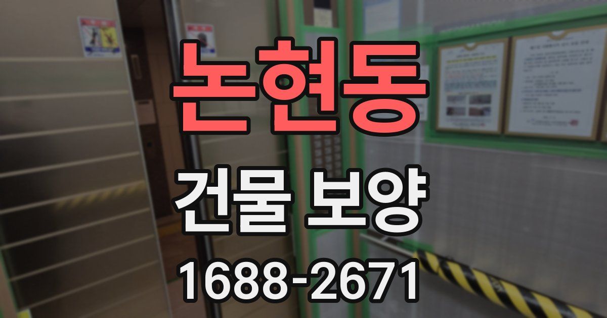 논현동 건물 보양