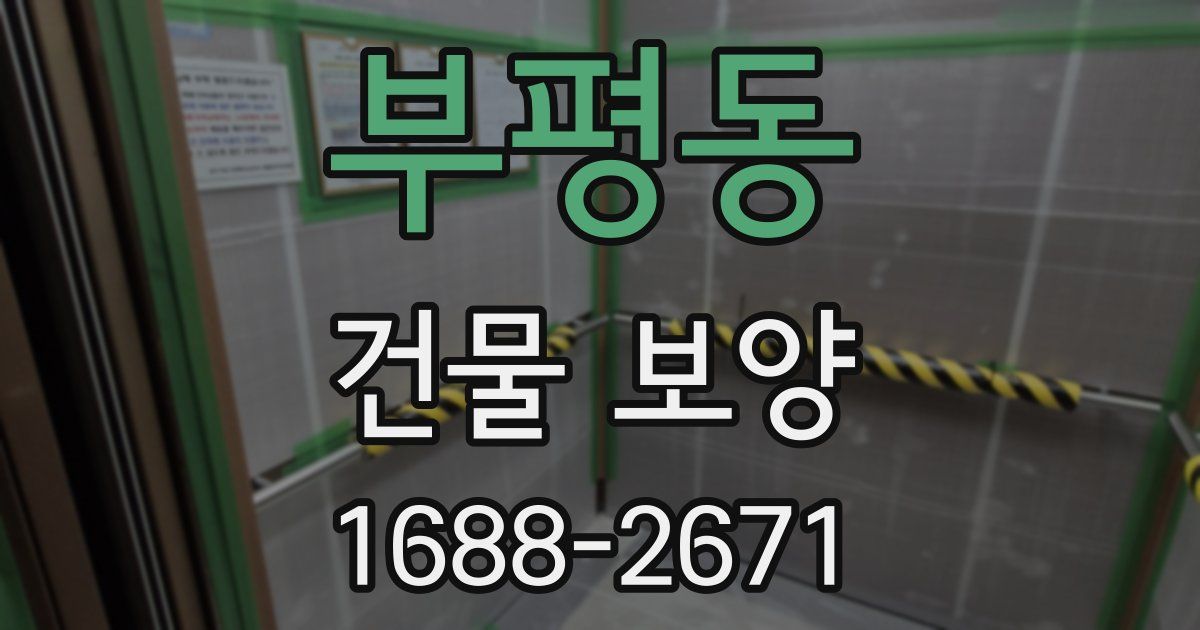 부평동 건물 보양
