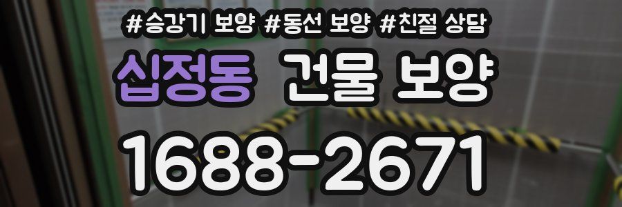 십정동 건물 보양