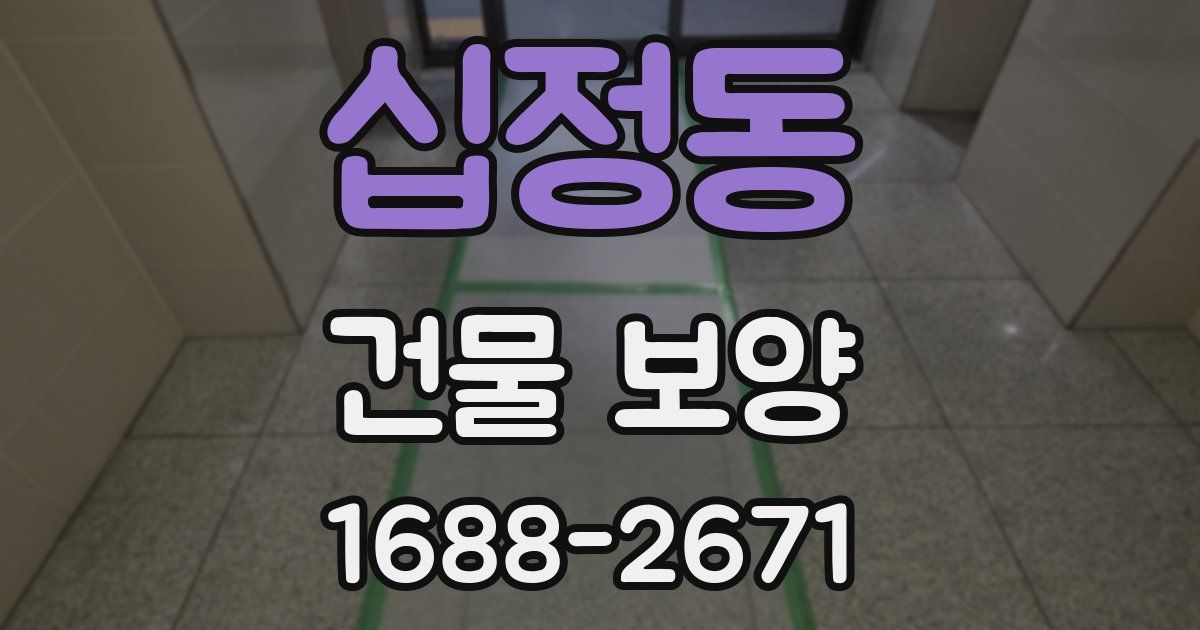 십정동 건물 보양
