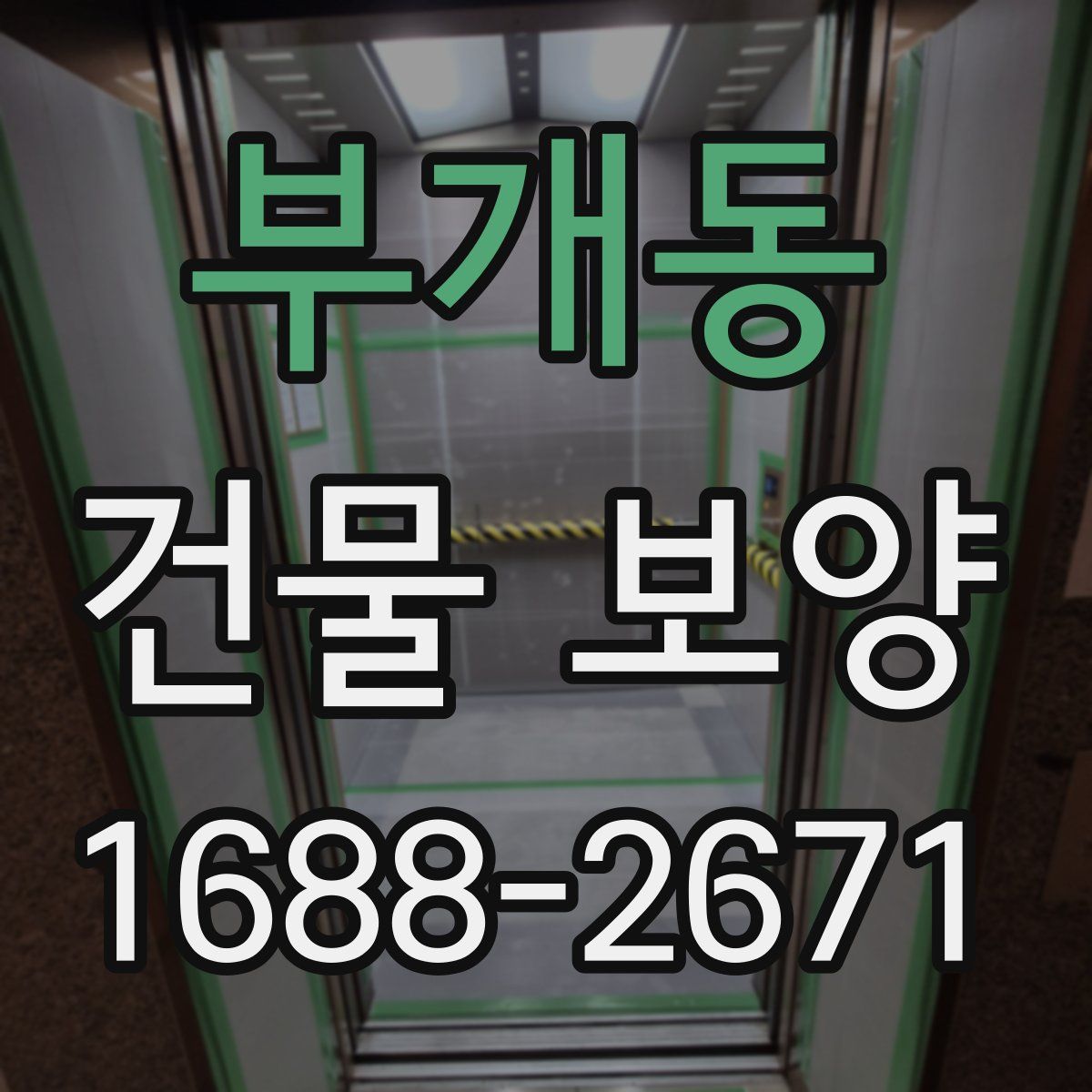 부개동 건물 보양