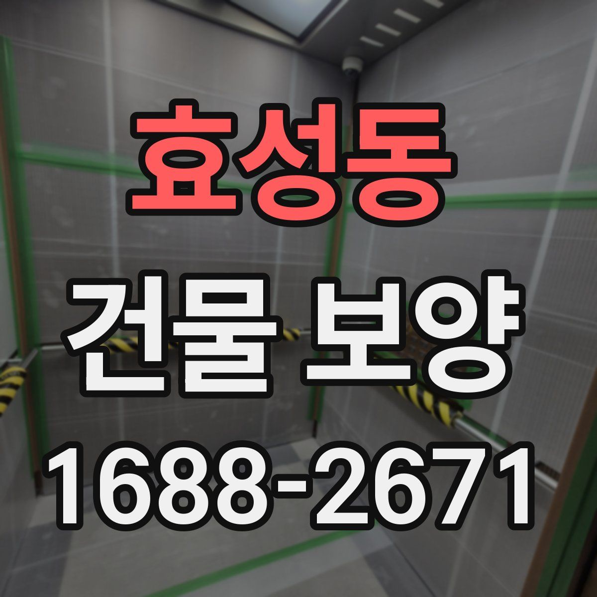 효성동 건물 보양