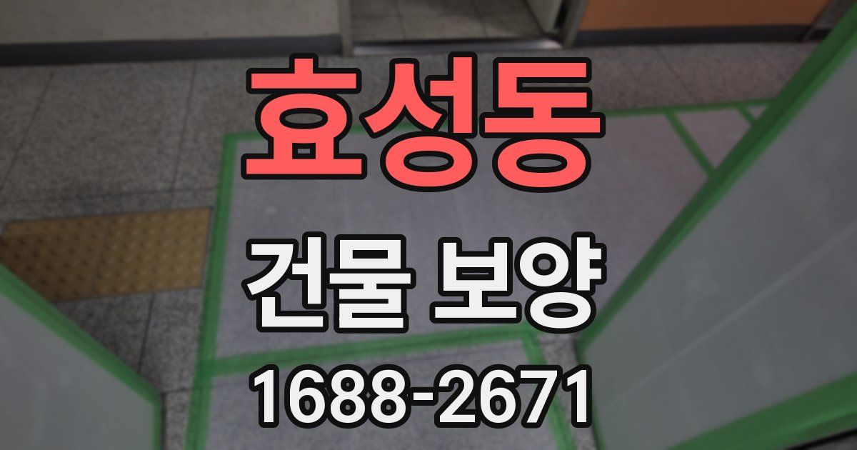 효성동 건물 보양