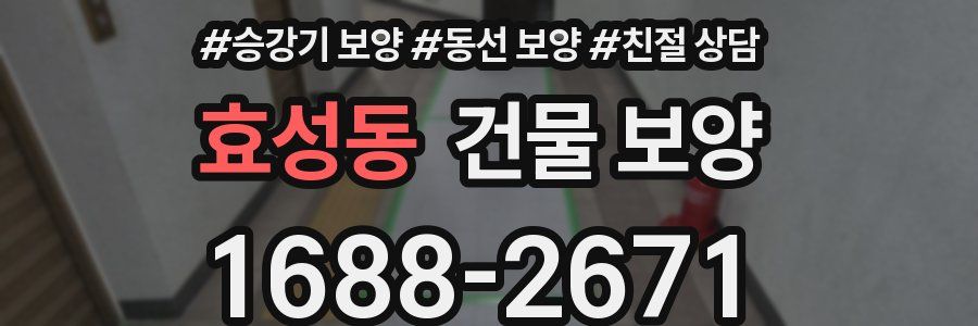 효성동 건물 보양