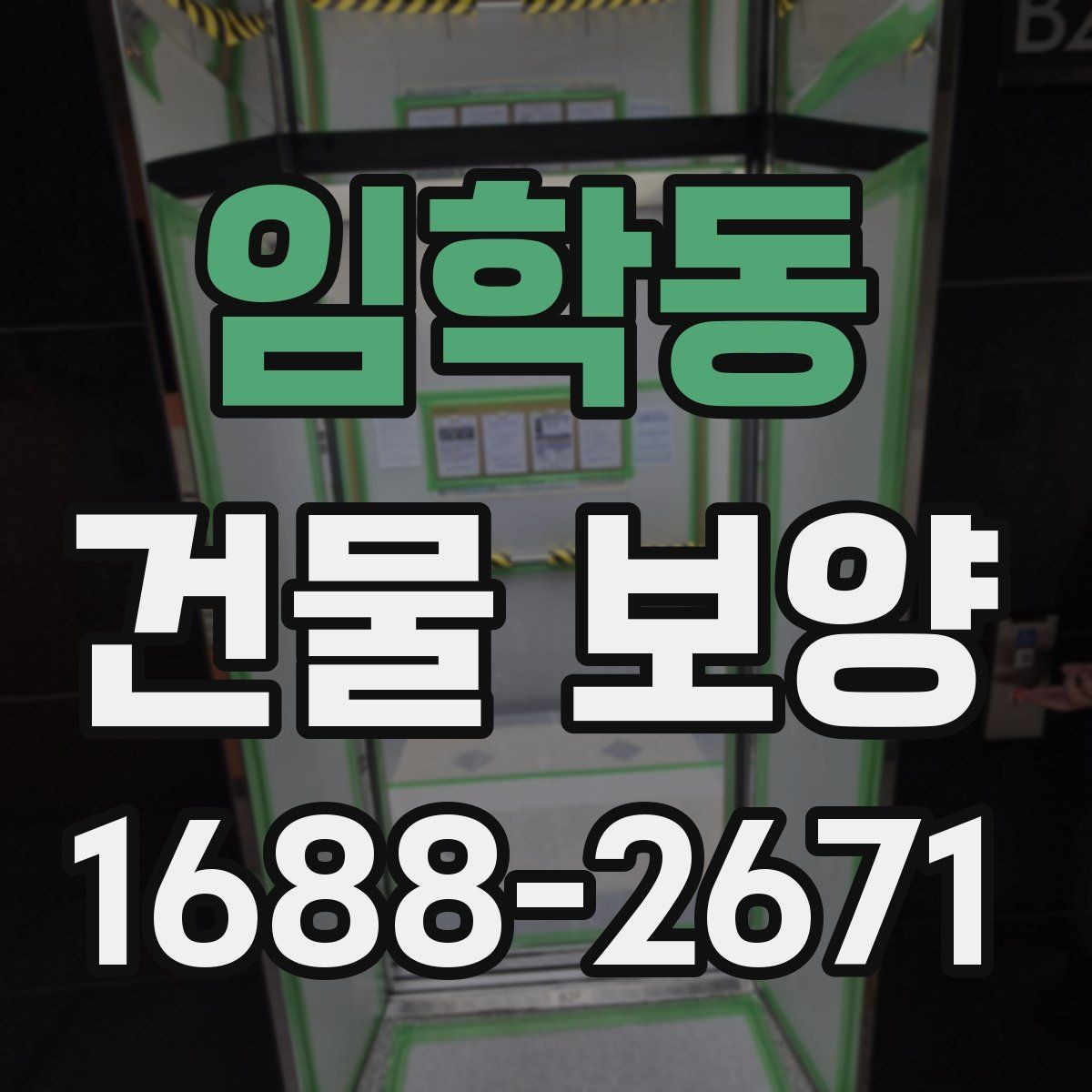 임학동 건물 보양 현장별 적용 방식 안내