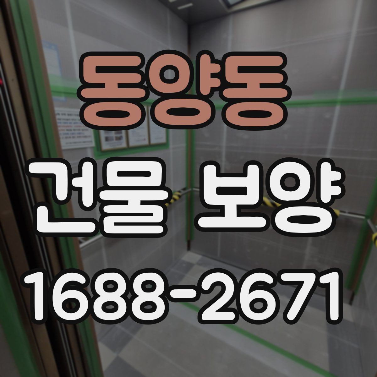 동양동 건물 보양 과정에서 놓치기 쉬운 부분