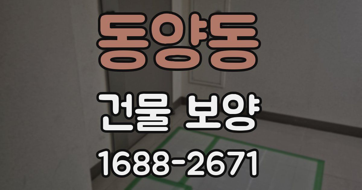 동양동 건물 보양