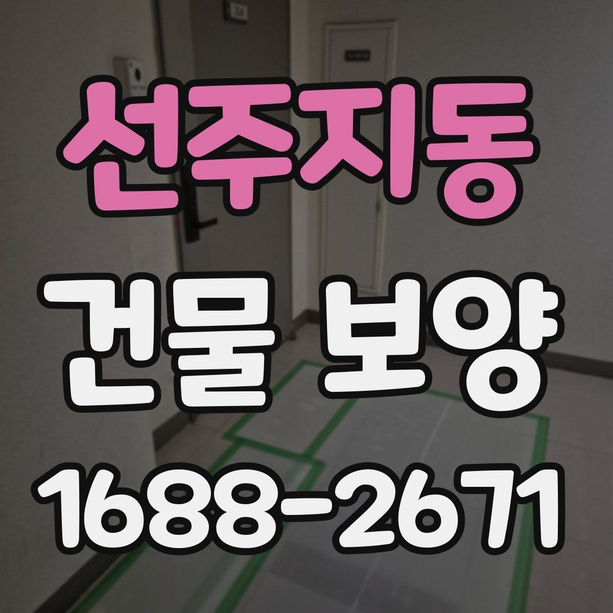 선주지동 건물 보양 재료를 고를 때 비교할 기준