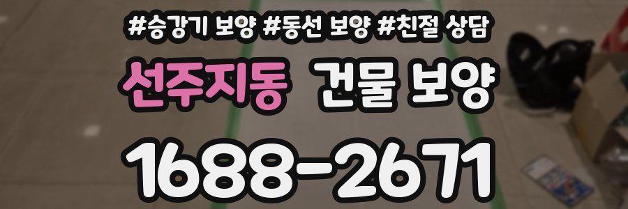 선주지동 건물 보양