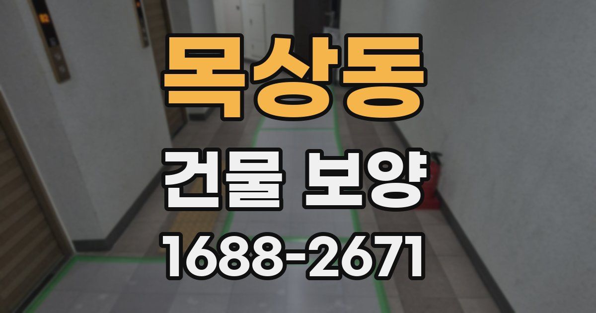 목상동 건물 보양