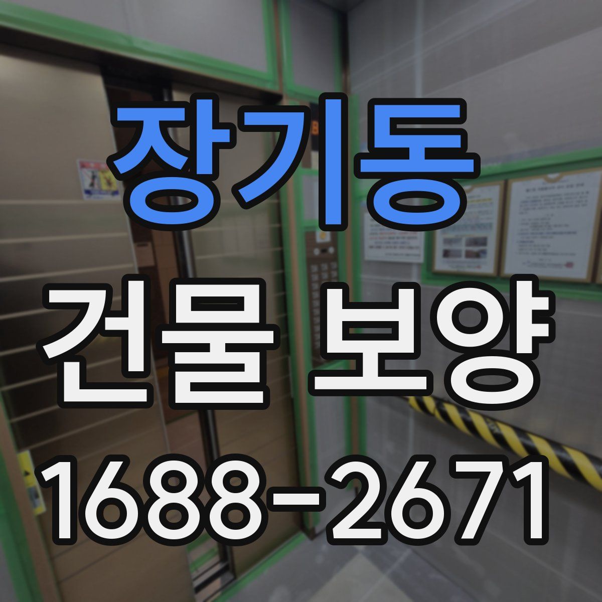 장기동 건물 보양