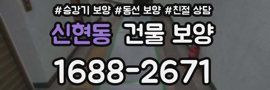 신현동 건물 보양