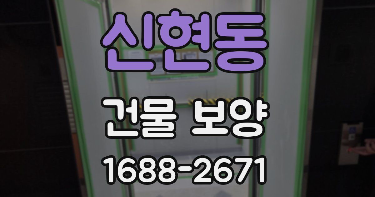 신현동 건물 보양