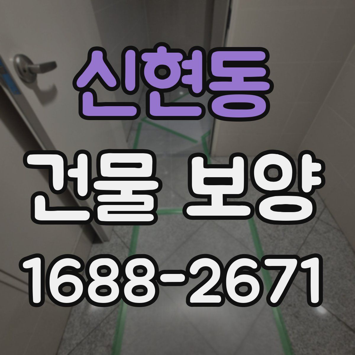 신현동 건물 보양