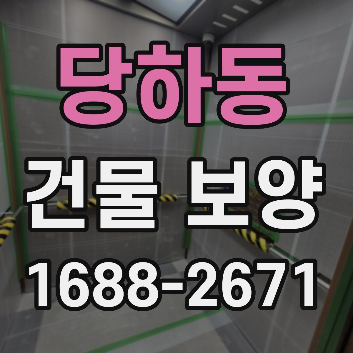당하동 건물 보양 작업의 단계별 진행 방식