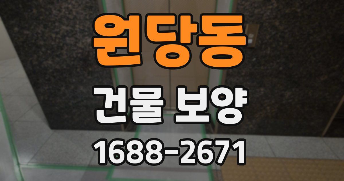 원당동 건물 보양